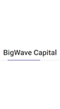 Mobile Screenshot of bigwavecapital.com